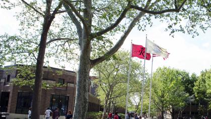 Flags